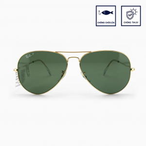 RAYBAN POL RB3025